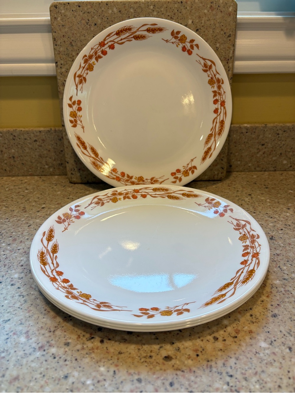 Set of 4 Corelle 10” Dinner Plates Harvest Home Pattern